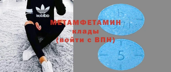 прущие грибы Аркадак