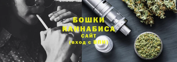сатива Балахна