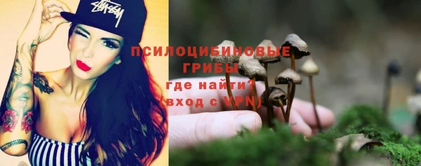 соль ск Балабаново