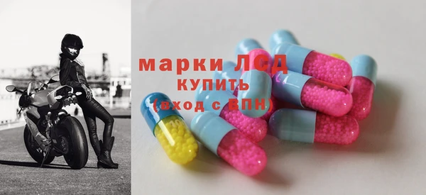 прущие грибы Аркадак