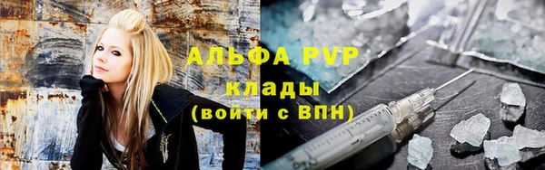 прущие грибы Аркадак