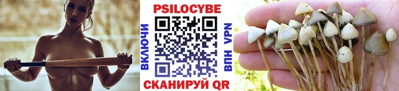 ссылка на мегу   Можга  Псилоцибиновые грибы Cubensis  закладка 