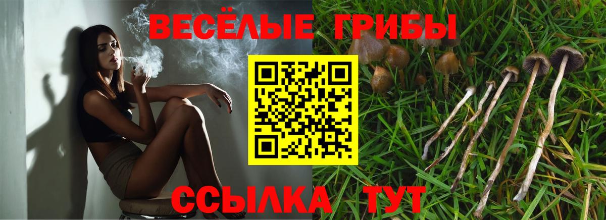 Псилоцибиновые грибы ЛСД  Псилоцибиновые грибы Psilocybe  Можга  Вход с VPN 